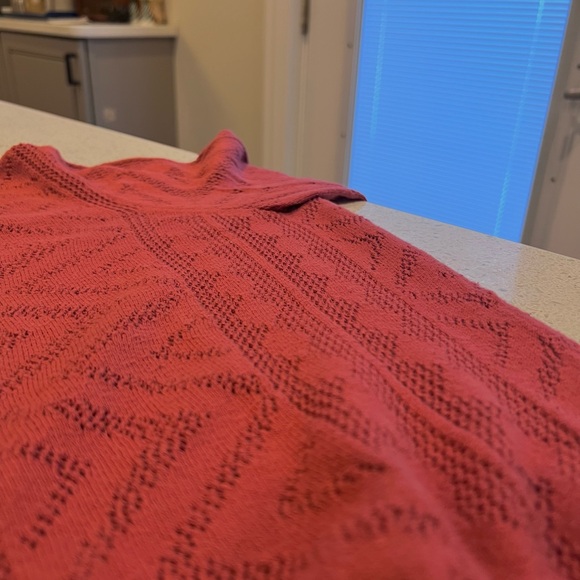 JOIE Jaeda Spice Sweater - Picture 9 of 9